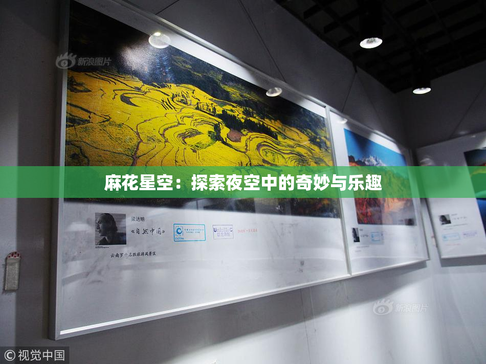 麻花星空：探索夜空中的奇妙与乐趣