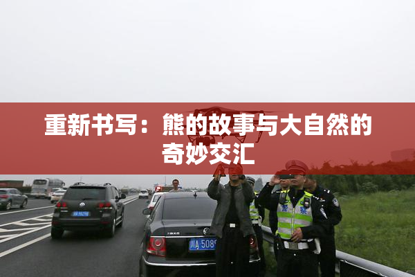 重新书写：熊的故事与大自然的奇妙交汇