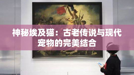 神秘埃及猫：古老传说与现代宠物的完美结合