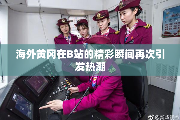 海外黄冈在B站的精彩瞬间再次引发热潮