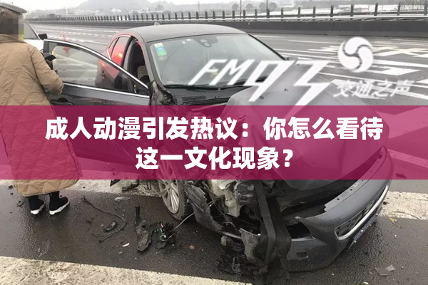 成人动漫引发热议：你怎么看待这一文化现象？