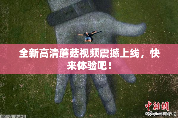 全新高清蘑菇视频震撼上线，快来体验吧！