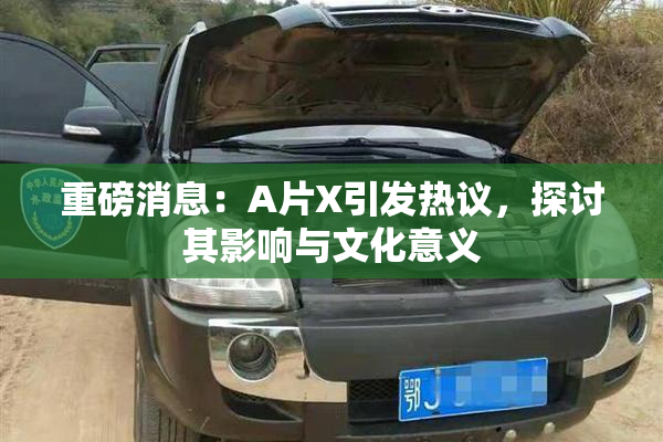 重磅消息：A片X引发热议，探讨其影响与文化意义