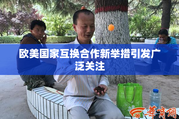 欧美国家互换合作新举措引发广泛关注