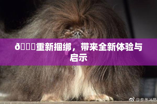 🔞重新捆绑，带来全新体验与启示