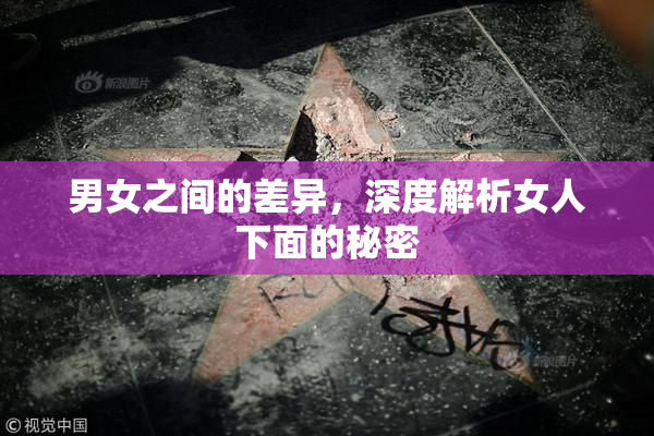 男女之间的差异，深度解析女人下面的秘密