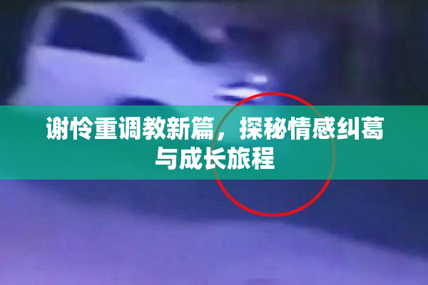 谢怜重调教新篇，探秘情感纠葛与成长旅程