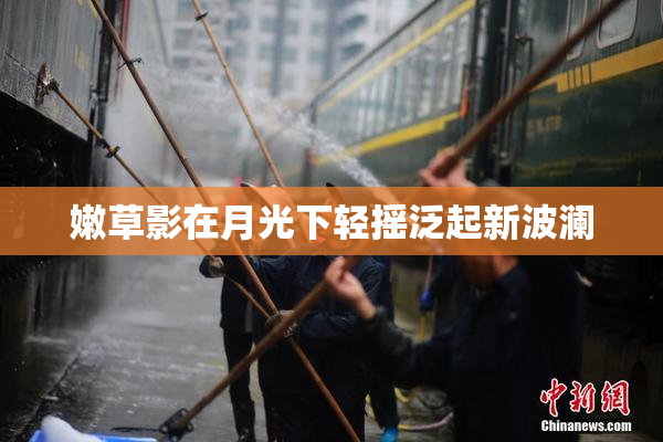 嫩草影在月光下轻摇泛起新波澜