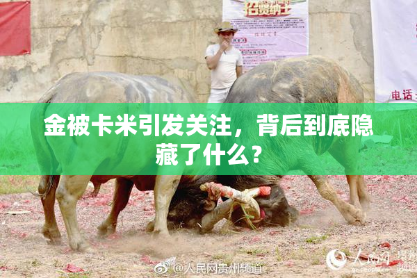 金被卡米引发关注，背后到底隐藏了什么？