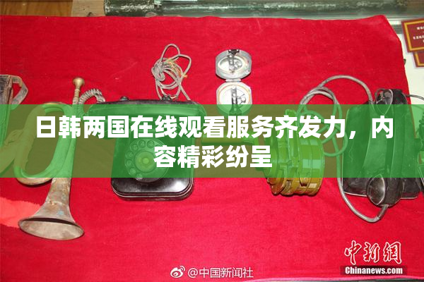 日韩两国在线观看服务齐发力，内容精彩纷呈