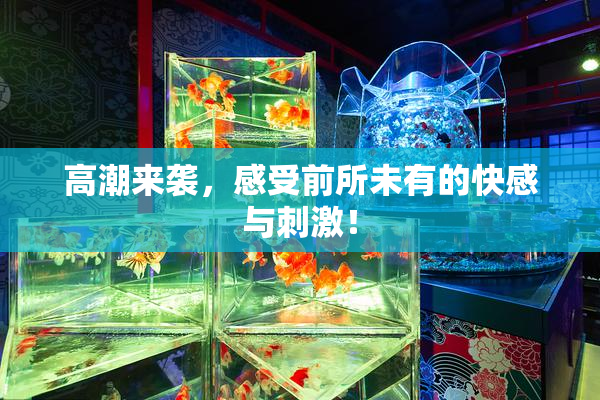 高潮来袭，感受前所未有的快感与刺激！