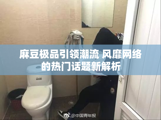 麻豆极品引领潮流 风靡网络的热门话题新解析