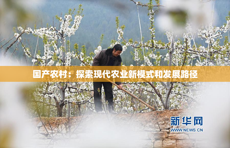 国产农村：探索现代农业新模式和发展路径
