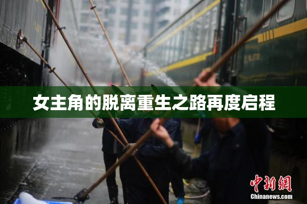 女主角的脱离重生之路再度启程