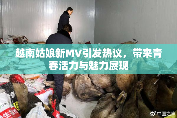 越南姑娘新MV引发热议，带来青春活力与魅力展现