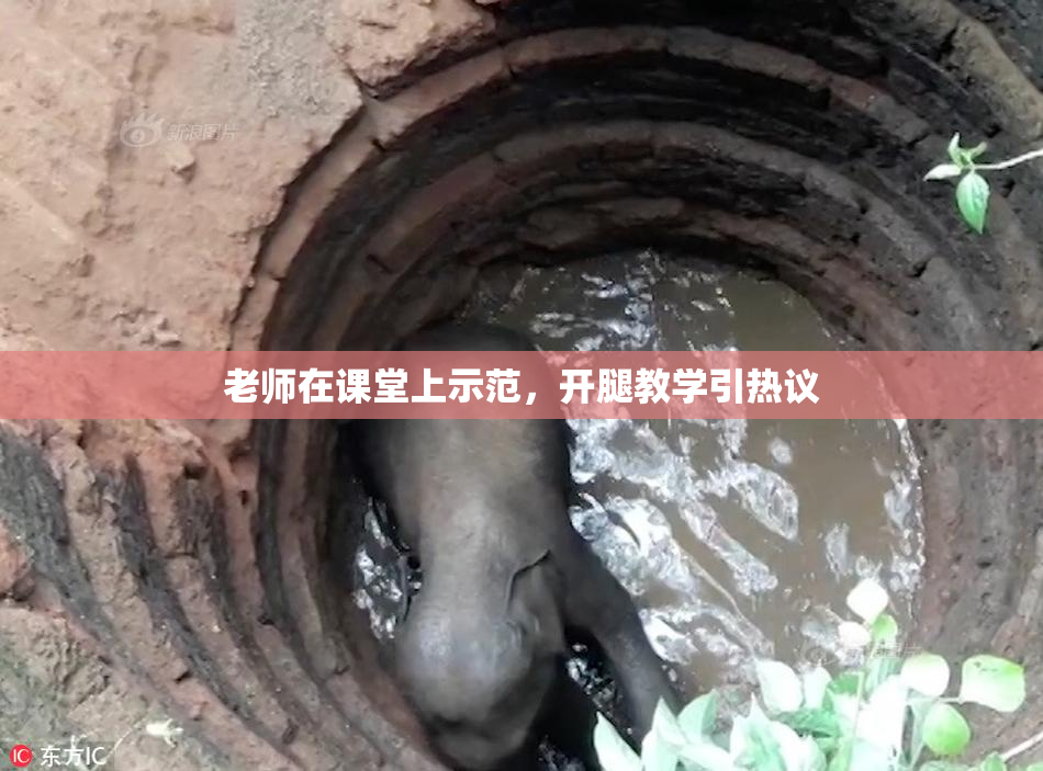老师在课堂上示范，开腿教学引热议