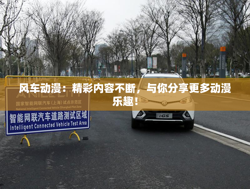 风车动漫：精彩内容不断，与你分享更多动漫乐趣！