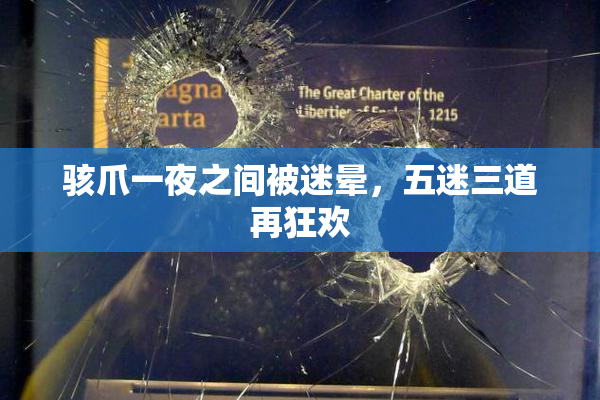 骇爪一夜之间被迷晕，五迷三道再狂欢