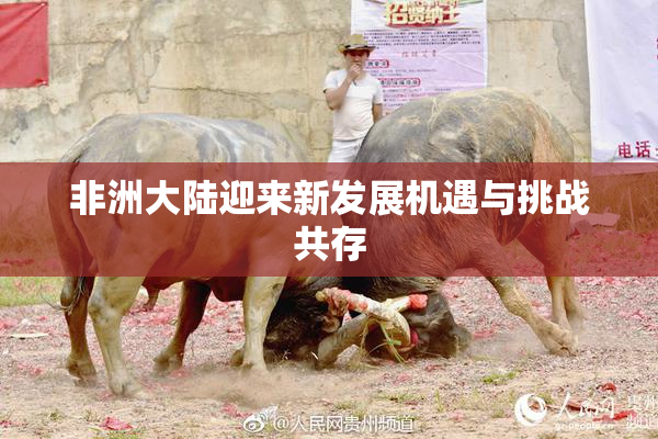 非洲大陆迎来新发展机遇与挑战共存