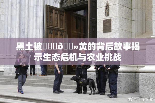 黑土被❌‌‌🐻黄的背后故事揭示生态危机与农业挑战