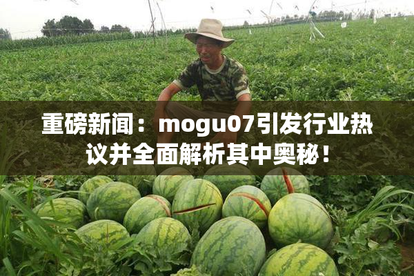 重磅新闻：mogu07引发行业热议并全面解析其中奥秘！