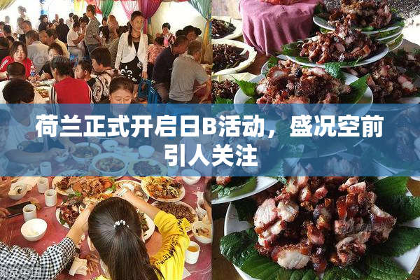 荷兰正式开启日B活动，盛况空前引人关注