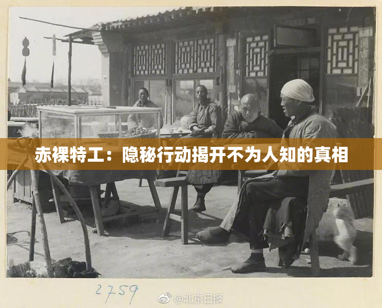 赤裸特工：隐秘行动揭开不为人知的真相