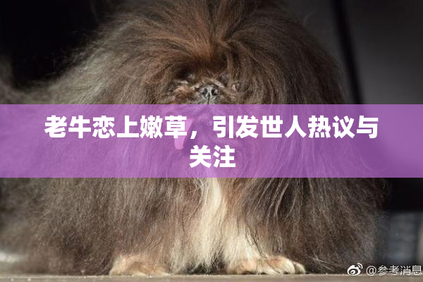 老牛恋上嫩草，引发世人热议与关注