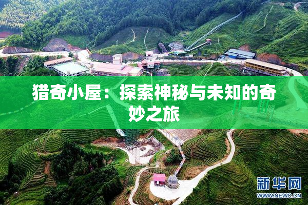 猎奇小屋：探索神秘与未知的奇妙之旅