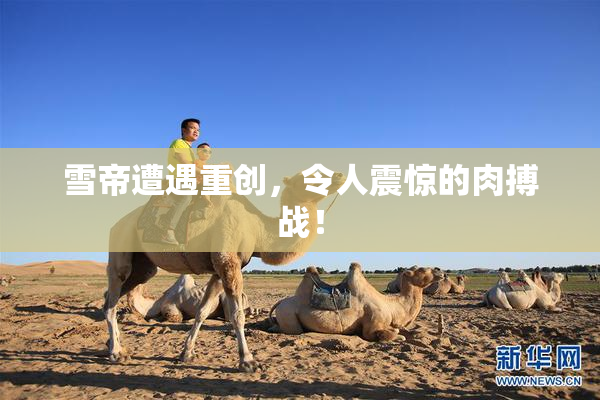 雪帝遭遇重创，令人震惊的肉搏战！