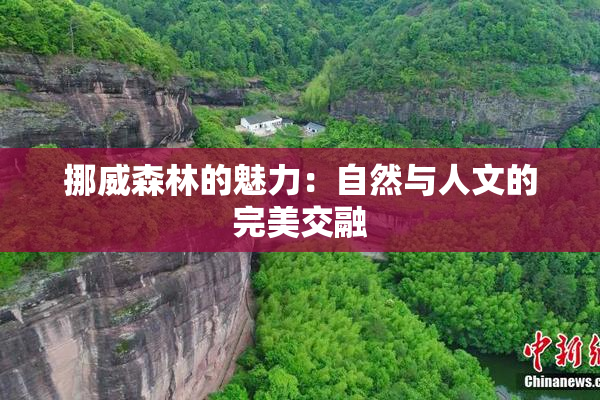 挪威森林的魅力：自然与人文的完美交融