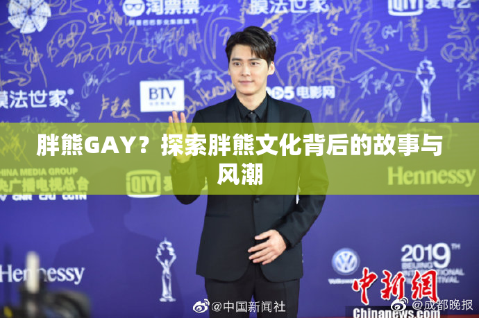 胖熊GAY？探索胖熊文化背后的故事与风潮