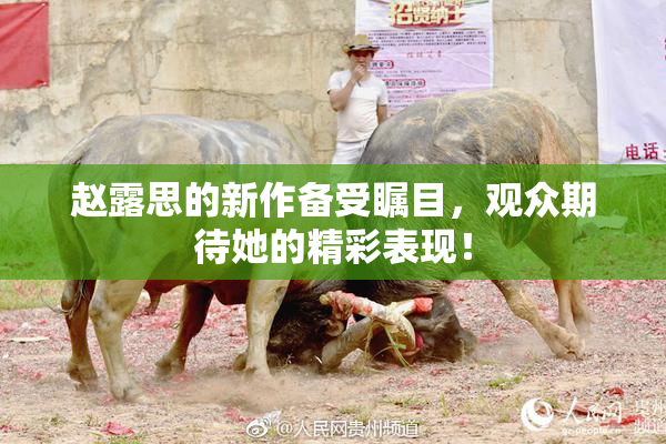 赵露思的新作备受瞩目，观众期待她的精彩表现！