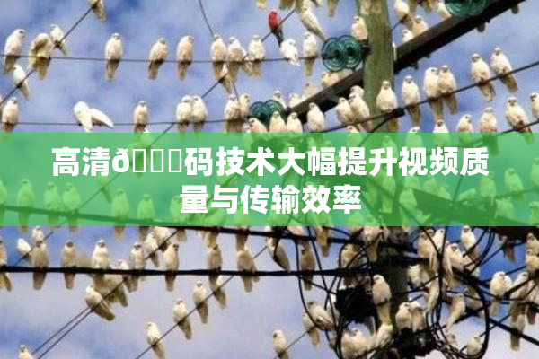 高清🈚码技术大幅提升视频质量与传输效率