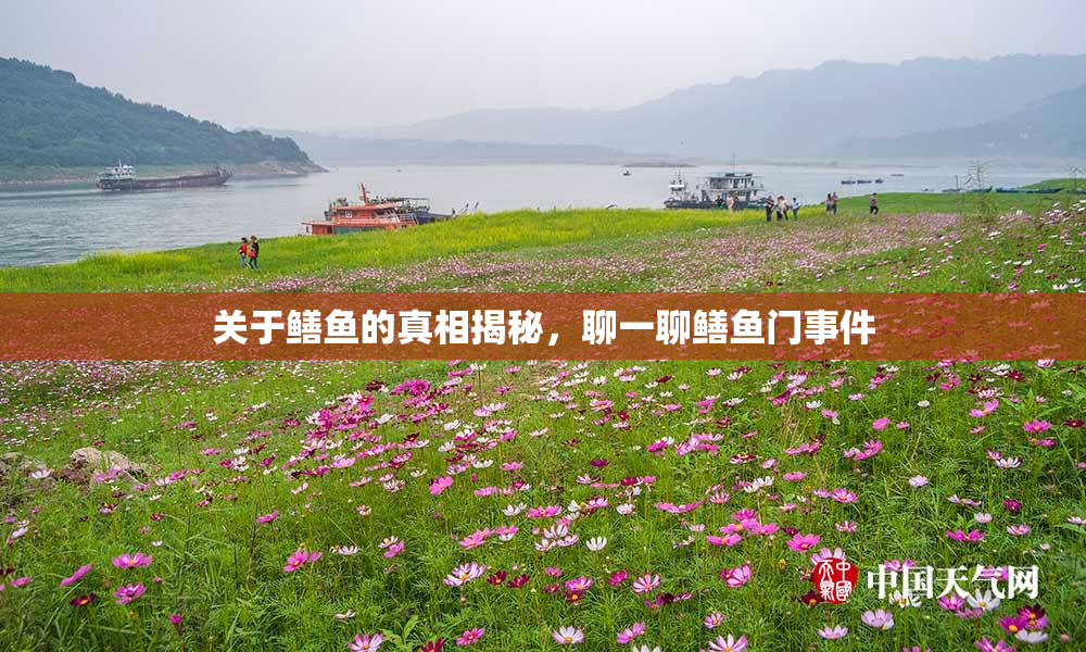 关于鳝鱼的真相揭秘，聊一聊鳝鱼门事件