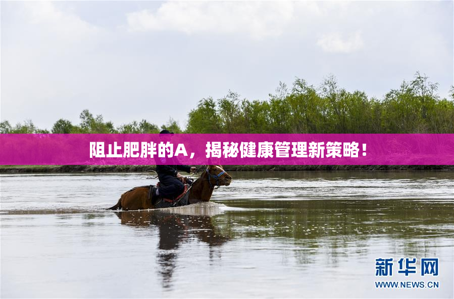 阻止肥胖的A，揭秘健康管理新策略！