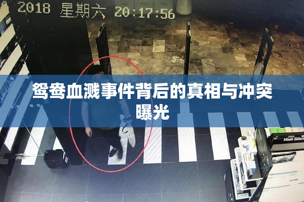 鸳鸯血溅事件背后的真相与冲突曝光