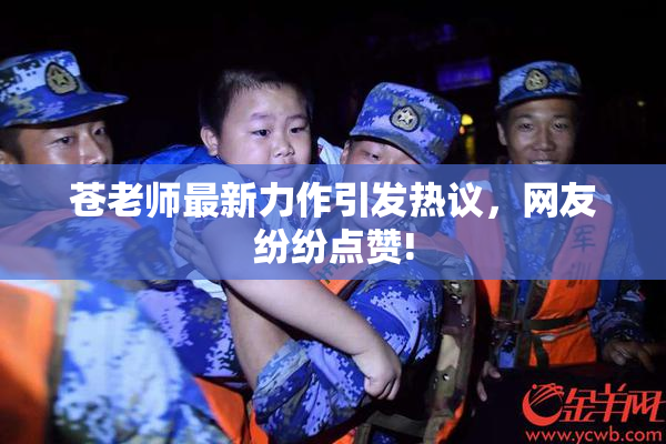 苍老师最新力作引发热议，网友纷纷点赞!
