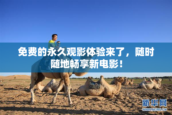 免费的永久观影体验来了，随时随地畅享新电影！