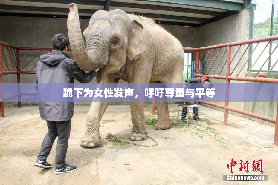 跪下为女性发声，呼吁尊重与平等