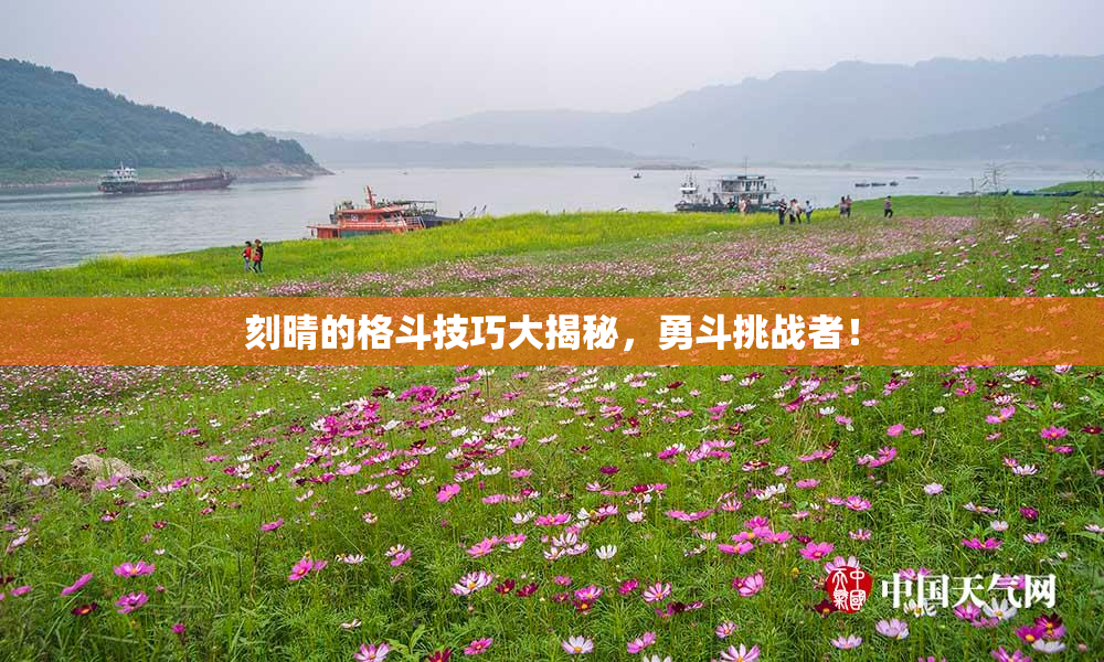 刻晴的格斗技巧大揭秘，勇斗挑战者！