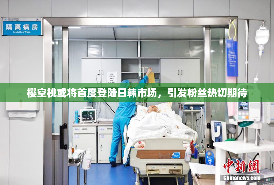 樱空桃或将首度登陆日韩市场，引发粉丝热切期待
