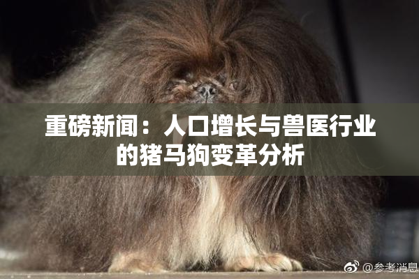 重磅新闻：人口增长与兽医行业的猪马狗变革分析