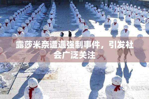 露莎米奈遭遇强制事件，引发社会广泛关注