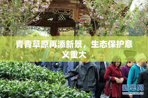 青青草原再添新景，生态保护意义重大