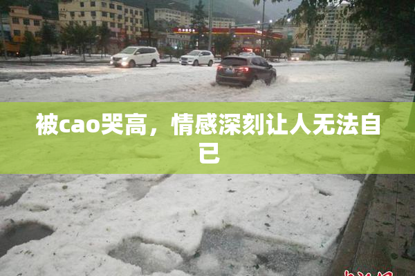 被cao哭高，情感深刻让人无法自已
