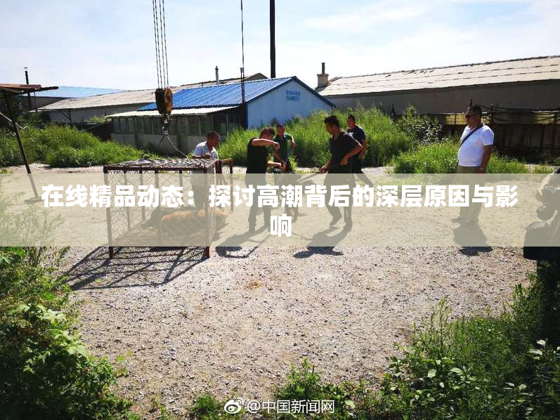 在线精品动态：探讨高潮背后的深层原因与影响