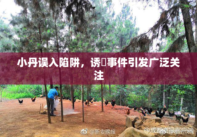 小丹误入陷阱，诱奷事件引发广泛关注