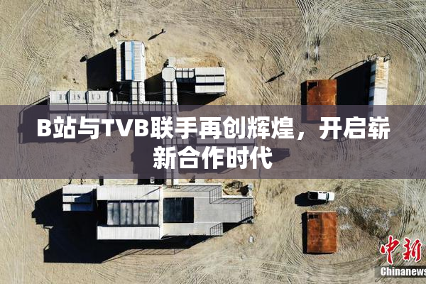 B站与TVB联手再创辉煌，开启崭新合作时代