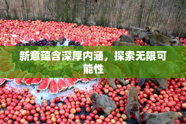 新意蕴含深厚内涵，探索无限可能性
